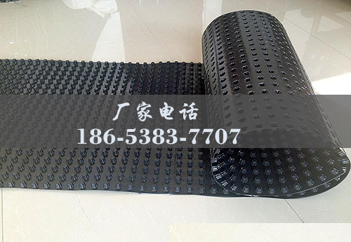 排水板廠家http://www.ct6b.cn/